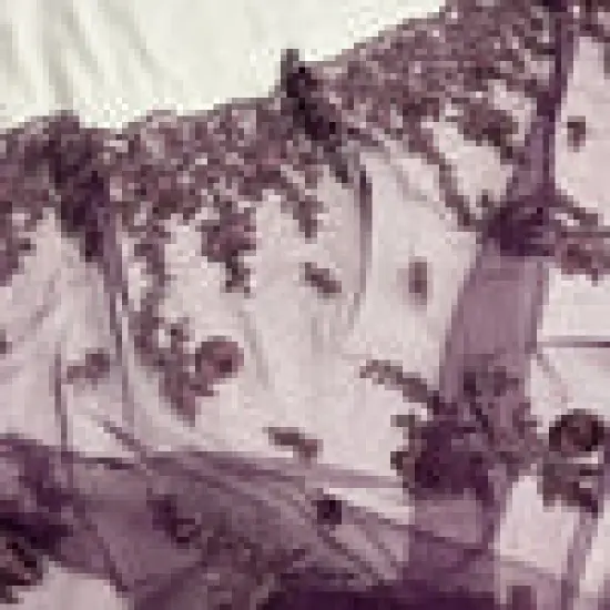 1 Yard Beaded 3D Floral Lace Fabric Embroidered on 100% Polyester Net Mesh, Plum, 54" Width, Elegant Fabric for Dresses & Crafts {4}