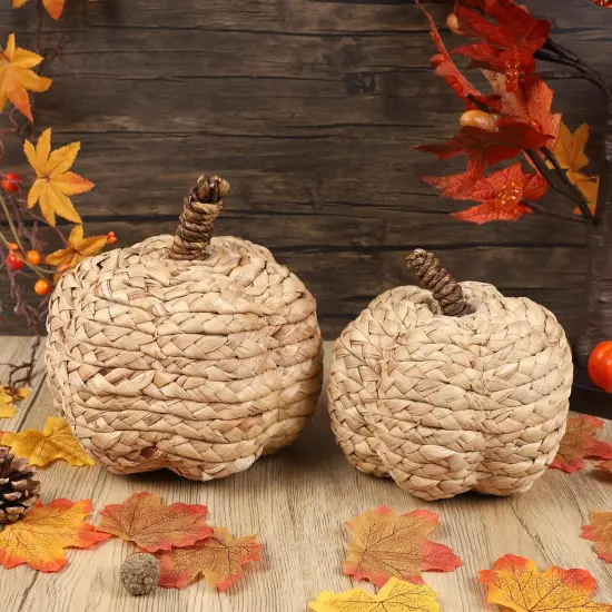 2 Pack Pumpkin Fall Decor - (Beige) {2}