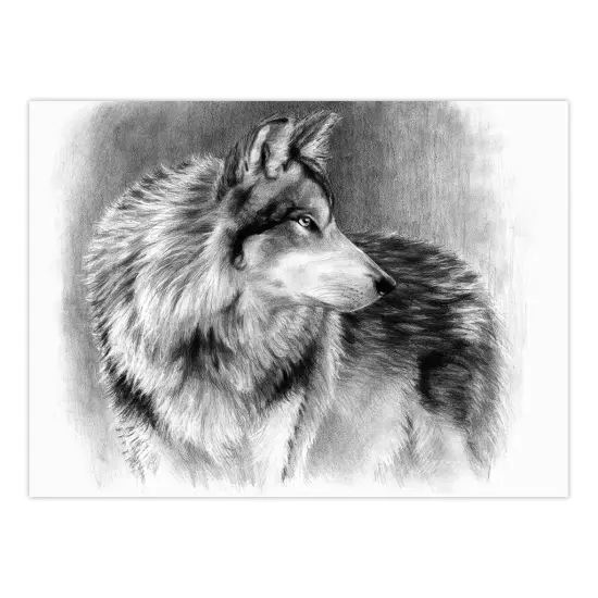 SKBNL11 | Sketching Made Easy&trade; 10pc 11.25" x 15.375" Cautious Eyes Sketching Art Project {2}