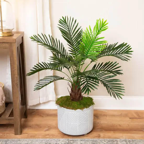 Northlight Artificial Miniature Potted Palm Plant - 35" Green {1}
