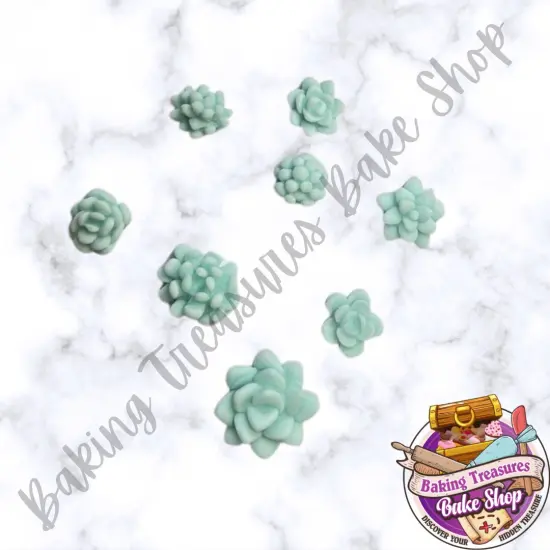 Succulent Variety flower {2}