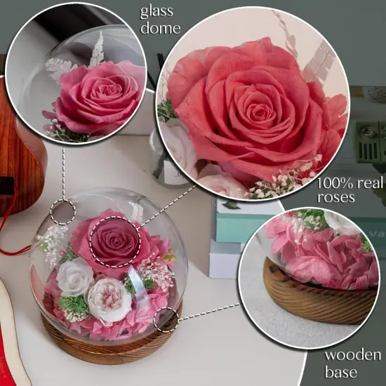 Pink Roses Preserved Real Flower in Glass Dome {3}