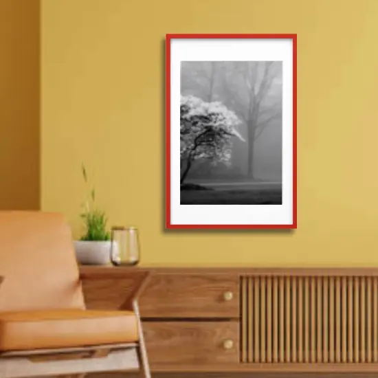 24x36" Red Frame with Mount Horizontal/Vertical No-Nail Hanging Depth Display {1}