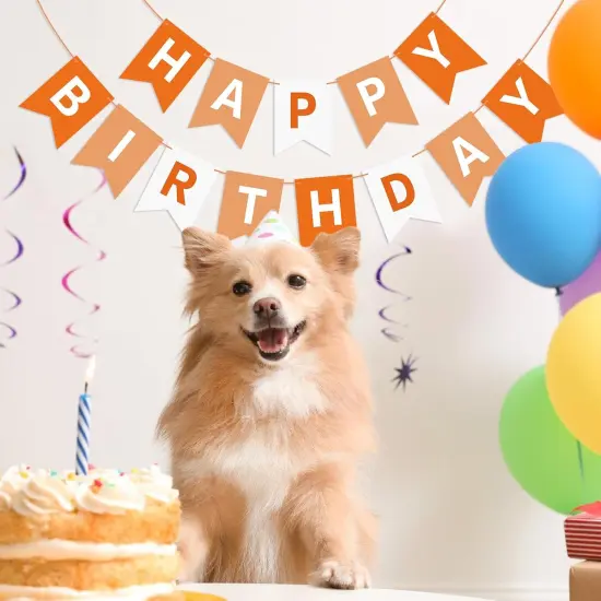 Orange Happy Birthday Banner {4}