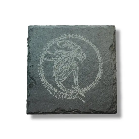Coaster - Slate - Alien Fossil - SET OF 2 {1}