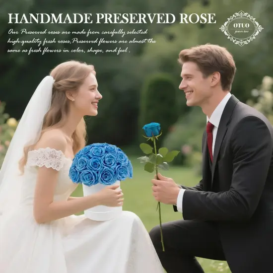 27 Preserved Roses in Round Dome Shape {5}