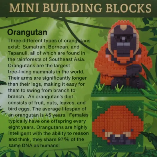 Mini Building Blocks - Orangutan {2}