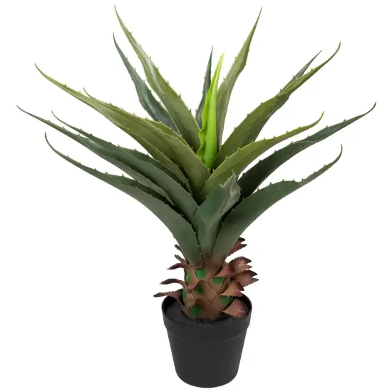Northlight Artificial Potted Aloe Plant - 24" Green {3}