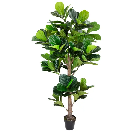Northlight Potted Two Tone Green Artificial Wide Fiddle Leaf Fig Tree - 6.25' {3}