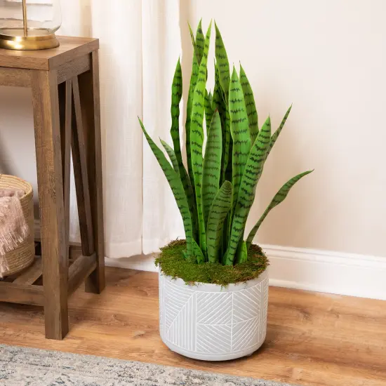 Northlight Real Touch™️ Artificial Two Tone Potted Snake Plant - 3' Green {1}