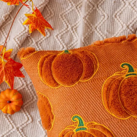 Set of 2 Fall Pumpkin Rust Throw Pillow Covers 20x20 {3}