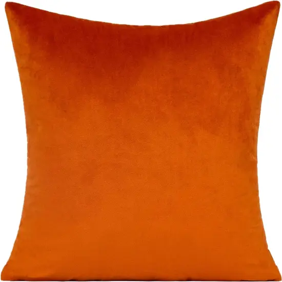 20x20 Inches Burnt Orange Fall Outdoor Throw Pillow Covers {2}