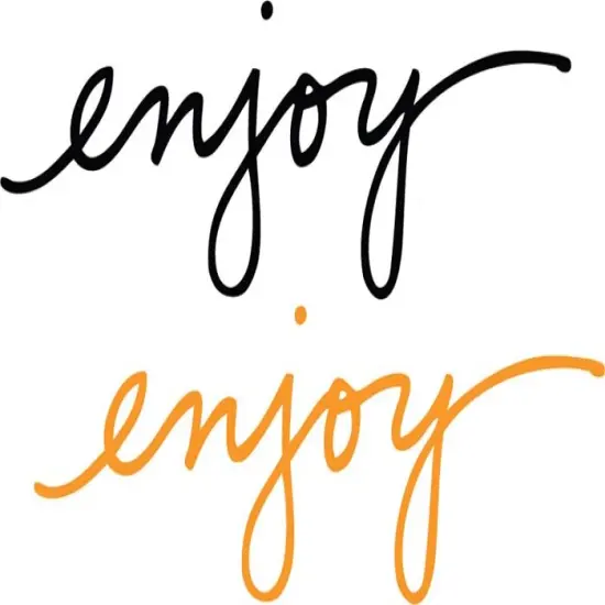 FLOCKED IRON ONS ENJOY {1}