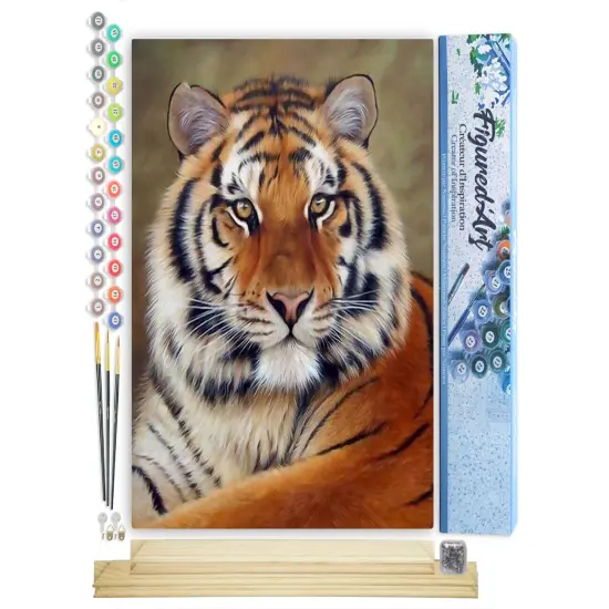Figured'Art Paint by Numbers Kit for Adults Tiger Look 16"x20" - Craft Art Painting Rolled Canvas with DIY wooden frame {1}