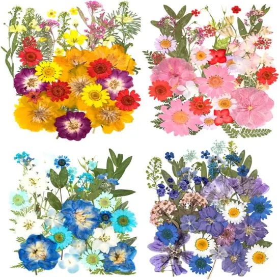 130Pcs Colorful Harmony Dried Pressed Flowers {1}