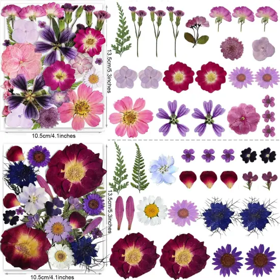 150PCS Purple Dried Flowers with Butterfly Stickers {3}