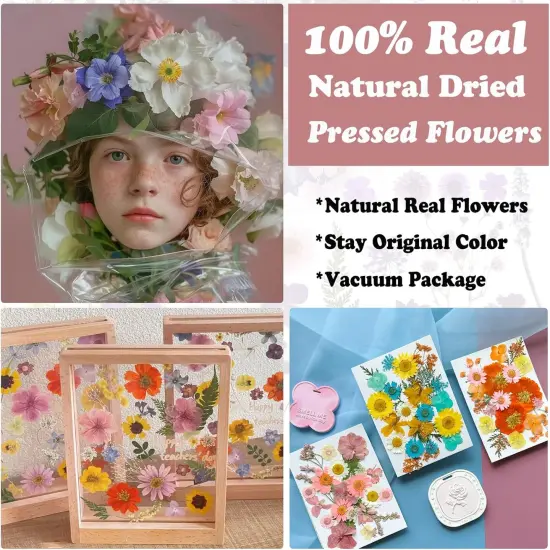 66Pcs Dried Pressed Flowers {3}