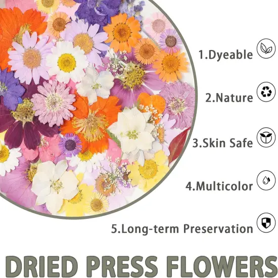 120Pcs Dried Pressed Flowers - (Delicate Color) {2}