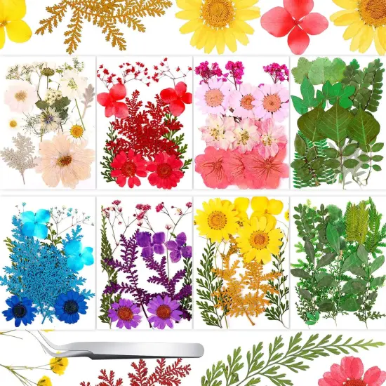 109 Pieces Dried Pressed Flowers for Resin {1}
