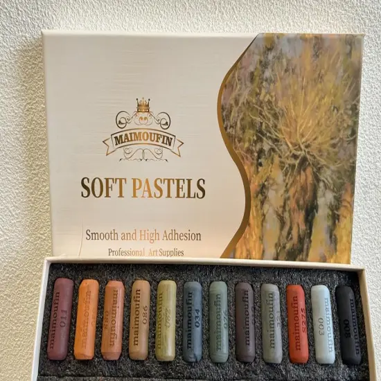 Soft Pastels for Artists Highly Pigmented Sticks 48 Vibrant Colors Professional Grade Art Supplies Smooth Blendable Pastels Set for Drawing,Painting Artists,Beginner {4}