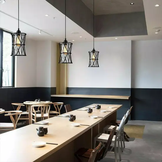 2-Light Modern Industrial-style Ceiling Light Chandeliers Pendant Lamp Fixture {3}