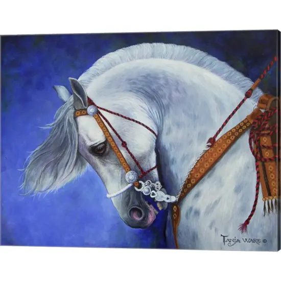 Struttin' by Tanja Ware 20" x 16" Canvas Wall Art {1}