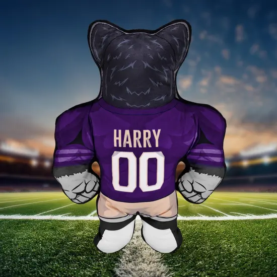 Bleacher Creatures Washington Huskies Harry the Husky 24" Mascot Bleacher Buddy {2}