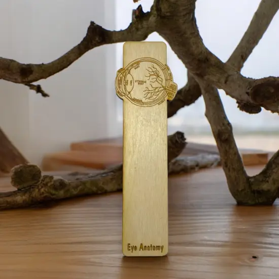 Bookmark - Eye Anatomy - Birch wood {4}