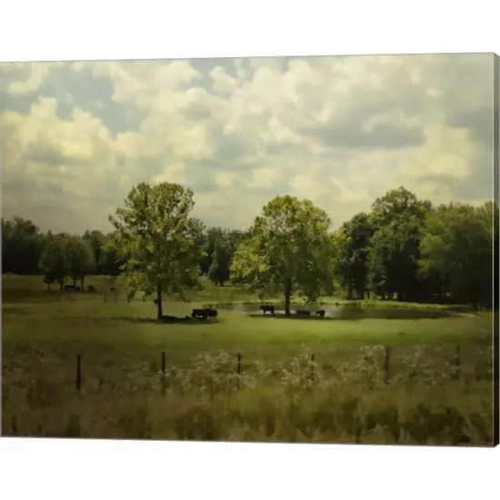 Cattle Pond In Summer by Jai Johnson 20" x 16" Canvas Wall Art {1}