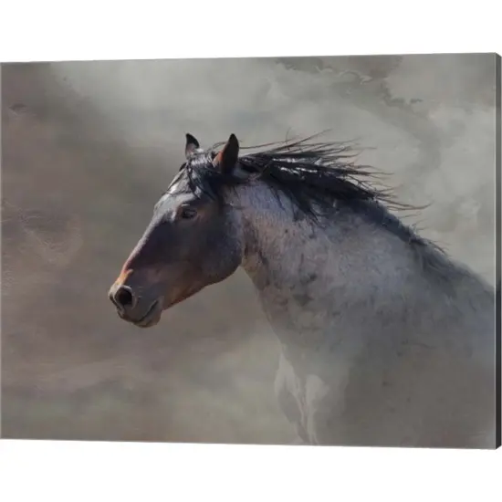 Back Country Roan by Larry McFerrin 20" x 16" Canvas Wall Art {1}