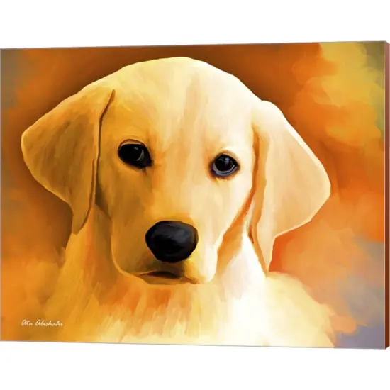 Puppy by Ata Alishahi 20" x 16" Canvas Wall Art {1}