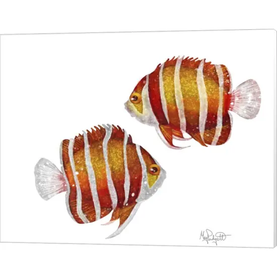 Ocean- Peppermint Angelfish by Meg Padgett 20" x 16" Canvas Wall Art {1}