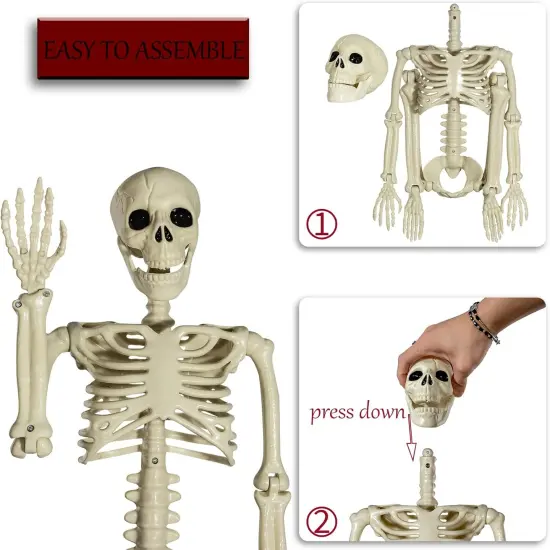 3ft Halloween Skeleton Full Body Posable {2}