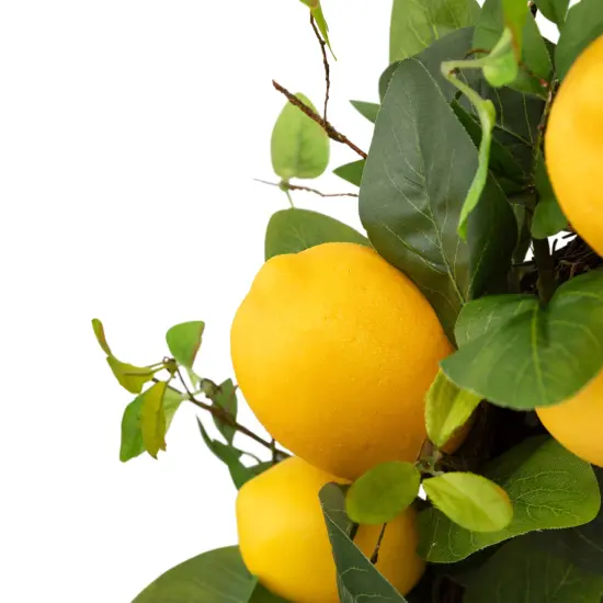 Northlight Lemons and Assorted Foliage Spring Wreath - 20" - Yellow {6}