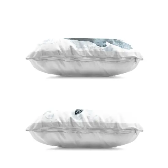 Stupell Industries Blue Weathered Turtle Portraits 2 Piece Decorative Printed Throw Pillow Set design by Marcus Prime, 14 x 7 x 20 {3}