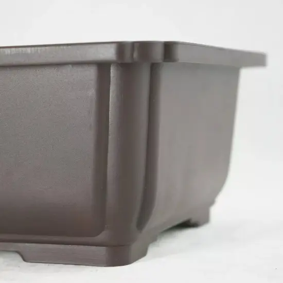 Rectangular Plastic Bonsai / Succulent Pot 10.5"x 7.75"x 3.5" - Dark Brown {2}