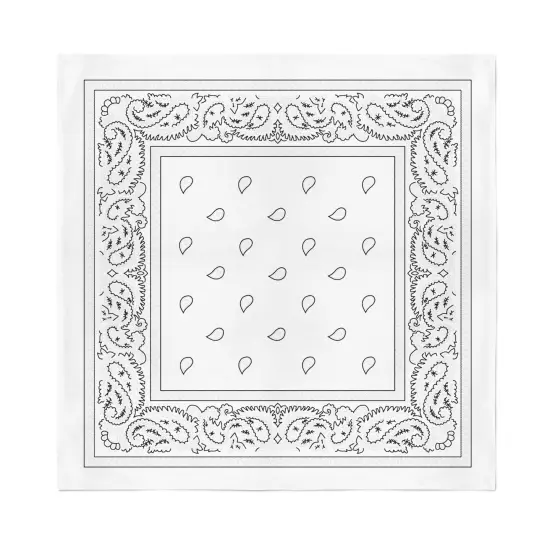 11 Pack XL Non Fading Paisley Polyester Bandanas 27 x 27 In - Bulk Wholesale {1}