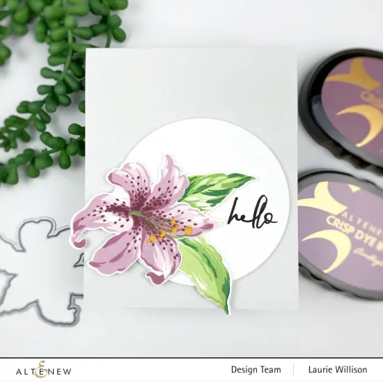 Retired - Stargazer Salutations Creativity Cardmaking Kit {4}