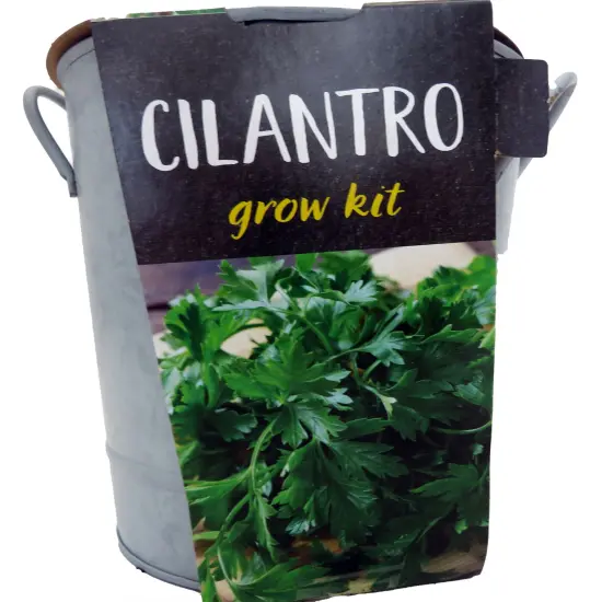 Cilantro Grow Kit - Metal Planter {1}