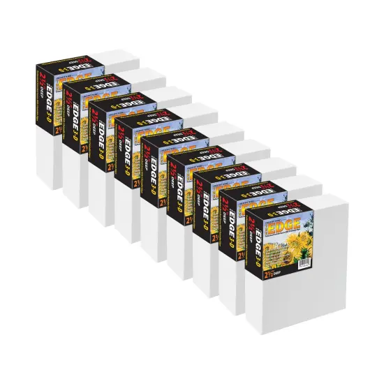 The Edge All Media Professional Triple-Primed Cotton Canvas 2.5" Deep, 9 Pack of Pre-Stretched Canvases for Painting with Paintable Edges {2}