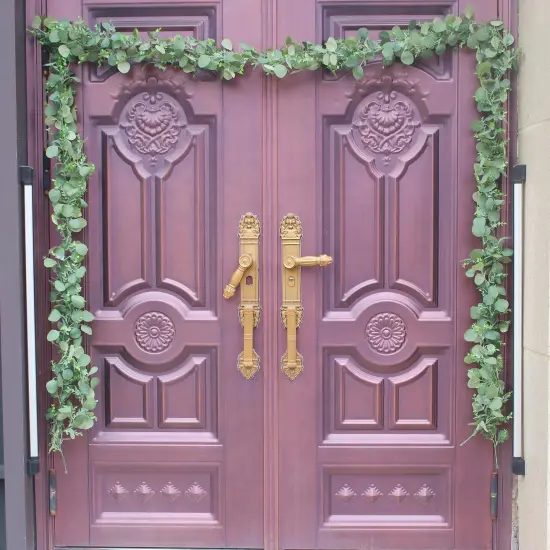 Silver Dollar Eucalyptus Leaves Hanging Vines {5}