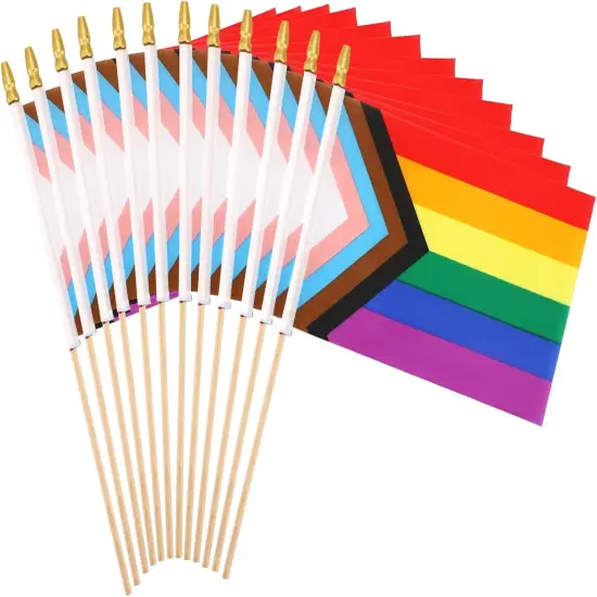 Progress Rainbow Pride Mini Flag, 22 Pack Small Mini Hand Held LGBT Flags American Rainbow Flag for Parades,Rainbow Festival Progress Party Decorations Supplies(5x8inch) {1}
