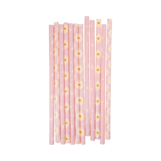 DISCO DAISY REUSABLE STRAWS {1}