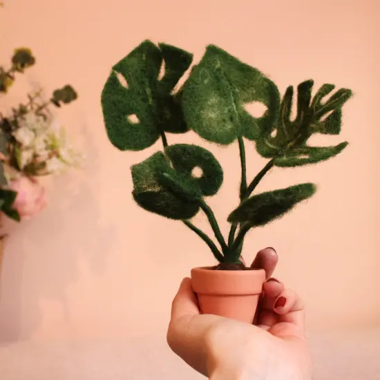 Felting Kit - Monstera Needle Felt Kit {5}