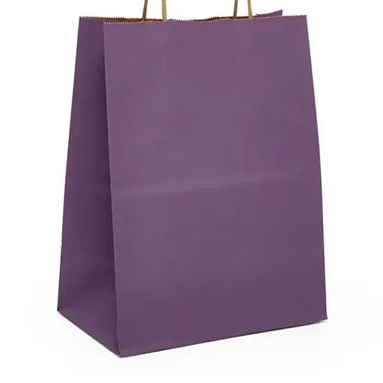 Efficient Kraft Paper Shopping Bag 5.5" x 3.25" x 13" {6}