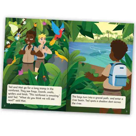 Junior Learning: The Beanies Diversity - Phase 5 - Hi-Lo Decodables, 12 Book Set, Letter Patterns, Week-By-Week Progression, Kids Reading Development {7}