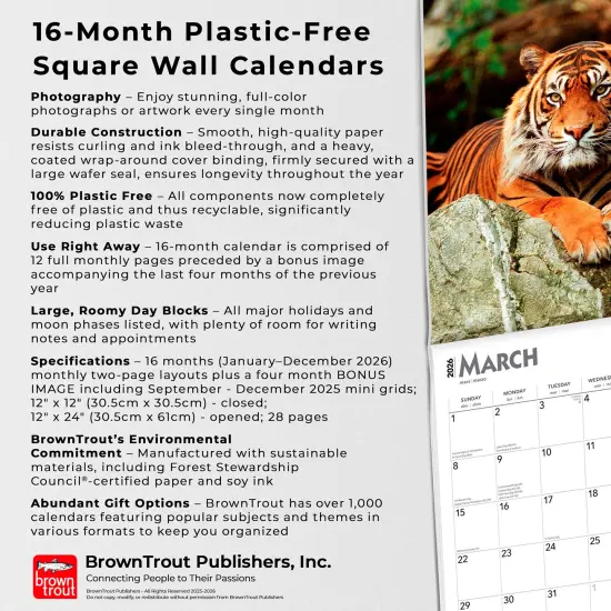 Tigers | 2026 12 x 24 Inch (Hanging) Monthly Square Wall Calendar | Plastic-Free {6}