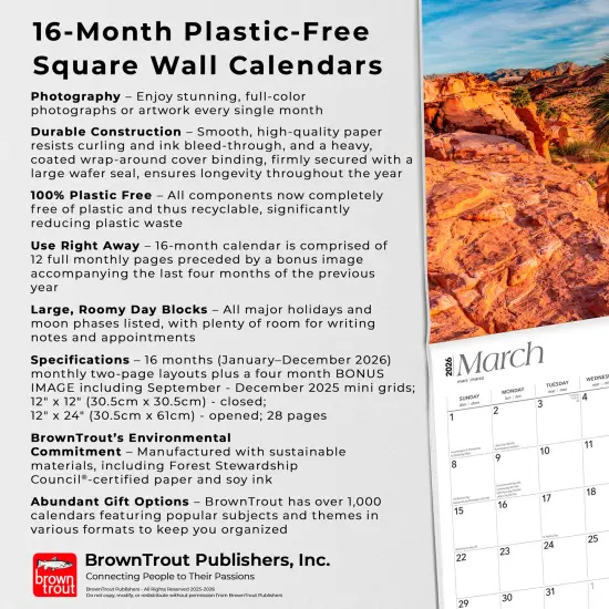 Nevada Wild & Scenic | 2026 12 x 24 Inch (Hanging) Monthly Square Wall Calendar | Plastic-Free {6}