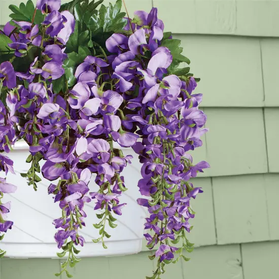 Collections Etc Artificial Cascading Wisteria Vine Bushes - Set of 2 {4}