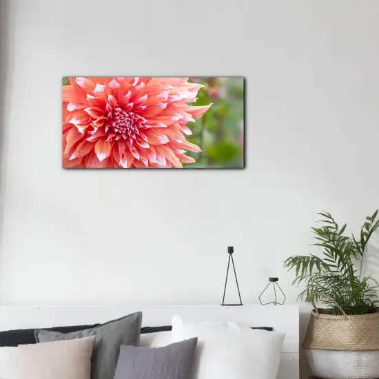 Paint by Numbers for Adults Beginner Students Canvas ONLY, Ideal Gift Choice for Birthday,Easter Day,Mother's Day {4}